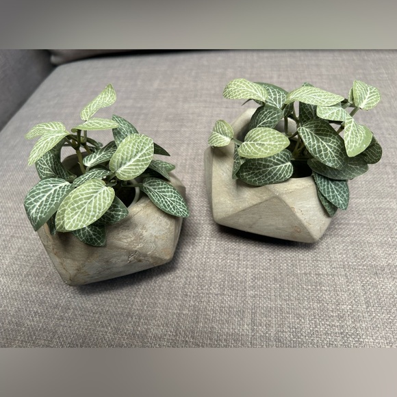 2-pcs Concrete Isohedron Planter/Pot/Votive/Spice Holder Handmade MCM #0920247 - Picture 4 of 10